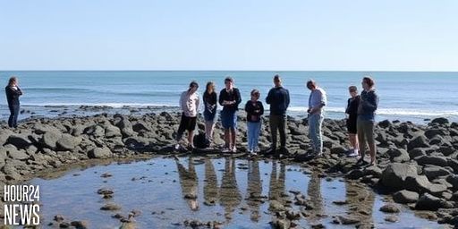 Whangaparāoa Rock Pools Stripped Bare: Residents Warn of Sea Life Gatherers’ Impact