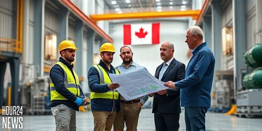 Big industry seeks exit from N.B. Power grid sparks debate over self-generated renewables