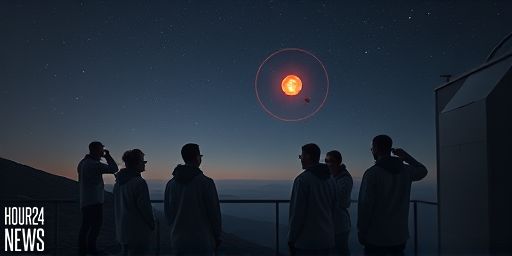 Red Dwarfs Are Too Dim to Sustain Complex Life Across the Galaxy