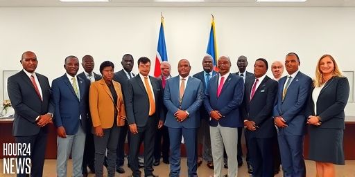 Presidency sheds clarity on redeployment and appointment of heads of mission