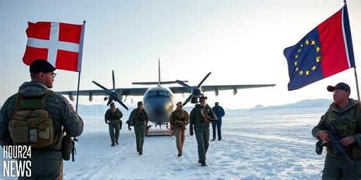 Greenland Defence: NATO’s Common Concern, Danish PM Says