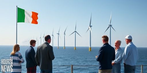 Plan Withdrawn for 30 Eiffel Tower-Sized Wind Turbines Off Clare and Galway Coast