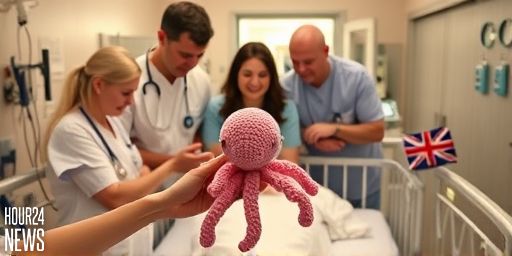 Crochet Octopus Comfort: How Western Sydney NICUs Use Tactile Toys to Soothe Preemies