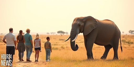 Kenya Mourns Beloved ‘Super Tusker’ Craig as Iconic Elephant Dies at 54