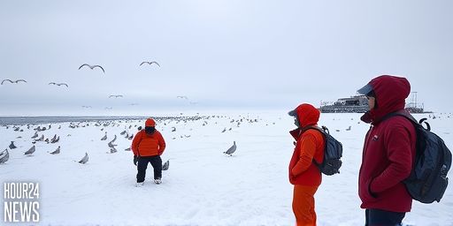 Antarctica Faces a Hidden Threat: H5N1 Avian Influenza and Skua Mortality