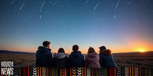 Quadrantid Meteor Shower Peaks This Week: How to Watch the Best Show of January