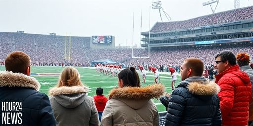 Patriots vs. Texans Weather Forecast for the Divisional Playoffs