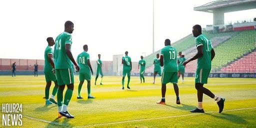 Atletico Madrid intensifies bid for Lookman as Fenerbahce moves closer to deal