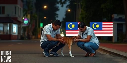 Kepong Dog Abuse: NGO lodges report after dog left wounded