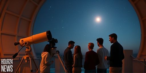 Webb Detects Crystalline Silicates Flinging from a Young Sun-like Star into Its Outer Disk