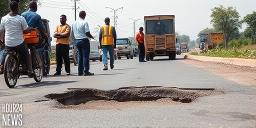 Zimbabwe Rolls Out Hotlines to Report Potholes and Urgent Road Defects