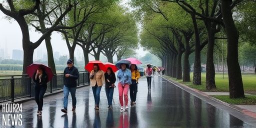 Delhi Rain Eases Air Pollution as Winds Turn Chilly: IMD Forecast Highlights Relief
