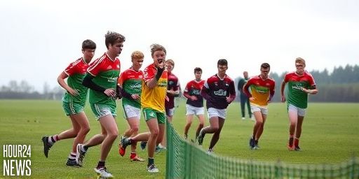 Monaghan and Donegal Advance to Dr McKenna Cup Final in Thrilling Semis