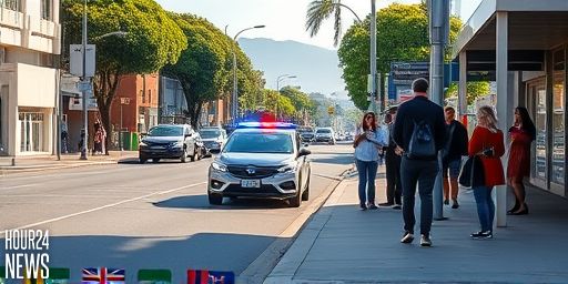 Mount Maunganui Driver Charged After Alcohol-Related Crashes