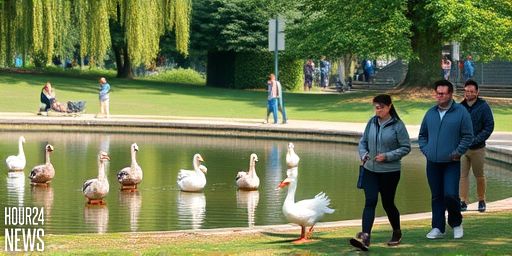 Huntington Alerts Residents as Dead Geese Prompt Avian Influenza Tests Near Heckscher Park