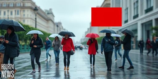 NZ’s sodden January explained: what’s driven this month’s big wet?