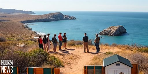 Australia Kills Dingoes Linked to Canadian Woman’s Death, Sparking Backlash