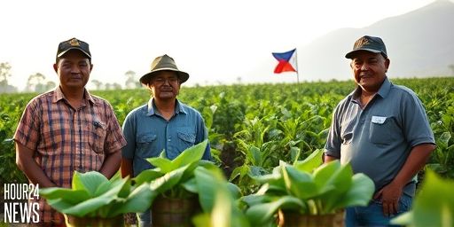 Withheld tobacco tax shares threaten Luzon agriculture and Ilocos farmers
