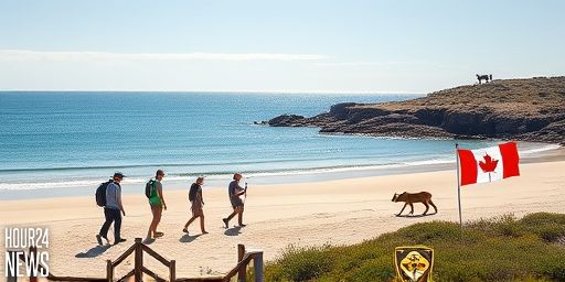 Australia’s Dingo Cull After Backpacker Death Sparks Backlash