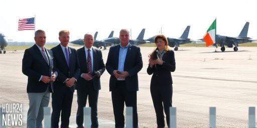 Limerick TD Calls for Regular Inspections of US Military Aircraft at Shannon Airport