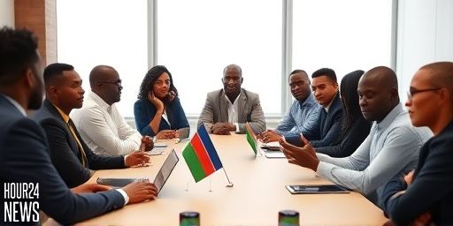 Let’s Help Namibia Improve Its Functionality: Lessons from the National Youth Council’s Fleeting Leadership