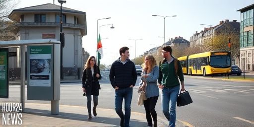 Electrician in Limerick takes responsibility for drink driving offence