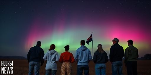 Aurora Australis Brightens Great Southern Night Sky, Wowing Residents