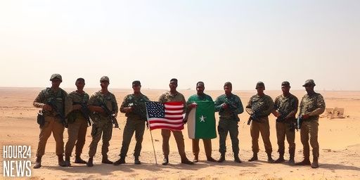 US Strikes Al-Shabaab in Somalia After Christmas Day Ops