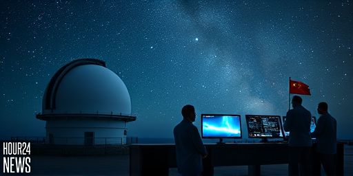 SN 2024gy: Backing the Delayed-Detonation Type Ia Supernova Model