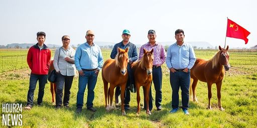 China Expands Protections for Native Horse Breeds to Preserve Heritage and Biodiversity