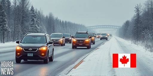 How to Avoid Winter Moose Collisions, OPP Advises Drivers