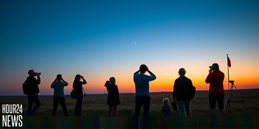 Comet Wierzchos at Perihelion: Can You See It Today?