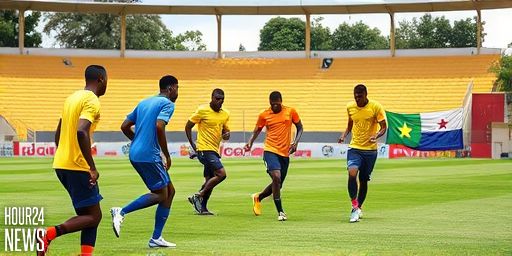 Focus on Panama: Agyemang-Badu’s World Cup Advice for Ghana