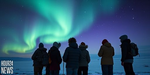 Watch the Northern Lights Online Tonight: Free Live Streams You Can Rely On