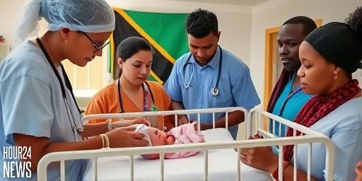 Premature Babies: A Fight for Survival in Dar es Salaam and Beyond