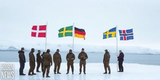 Denmark Expands Greenland Military Presence as Allies Step In