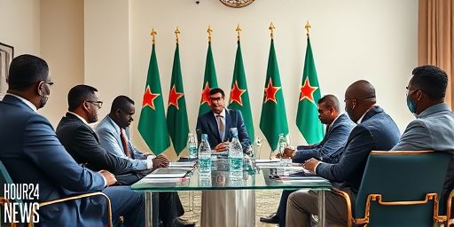 Mogadishu Expels Emirati Firms Over Seccessionist Ties: A Turning Point in Somalia-UAE Tensions