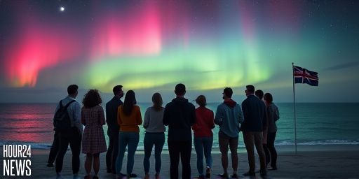 Aurora Australis Shimmers Over Great Southern Night Sky, Captivating Residents