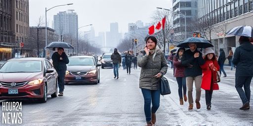 Heavy Snowfall Warning in Toronto: Morning Commute Impact