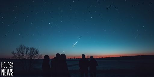 Quadrantid Meteor Shower Peak: Best Viewing Tips for 2026