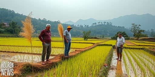 Experts warn as crucial crops in Nepal become harder to grow: ‘Unprecedented’