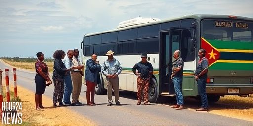 Overloaded cross-border bus impounded in Limpopo amid safety concerns