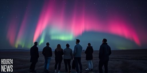 Aurora Australis Lights Up Great Southern Night Sky