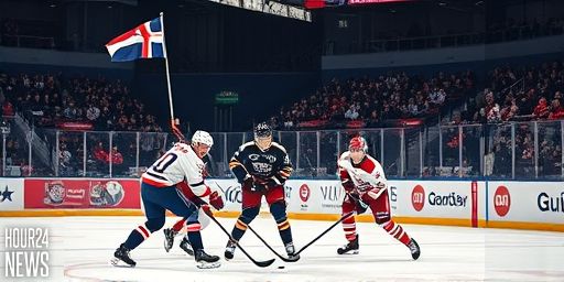 Heated rivalry: US to face Denmark in Olympic ice hockey showdown