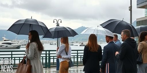 NZ January rainfall explained: what’s driving the wet