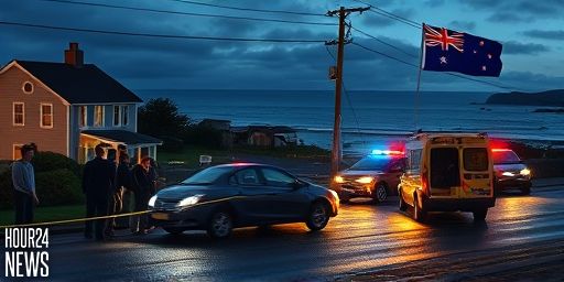 Witness Describes Desperate Scenes After Fatal Port Chalmers Crash