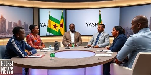 Ghana Go News Showdown: Gyamfi, Lardy Press Tia Mahama on Bawa-Rock Claims