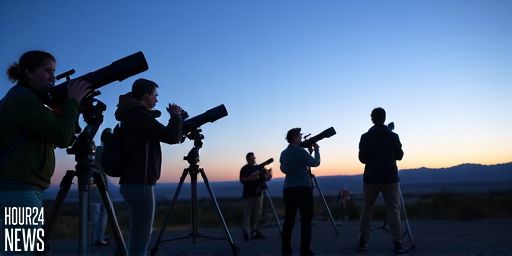 Comet Wierzchos Buzzes the Sun: Can You See It During Perihelion?
