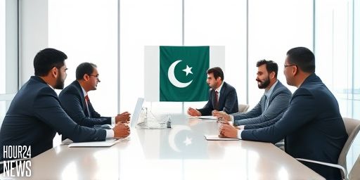 PCB Eyes Auction for Multan Sultans Ahead of PSL 11