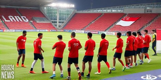 Probation for ex-Tanjong Pagar United youth footballer who punched 2 players from opposing team